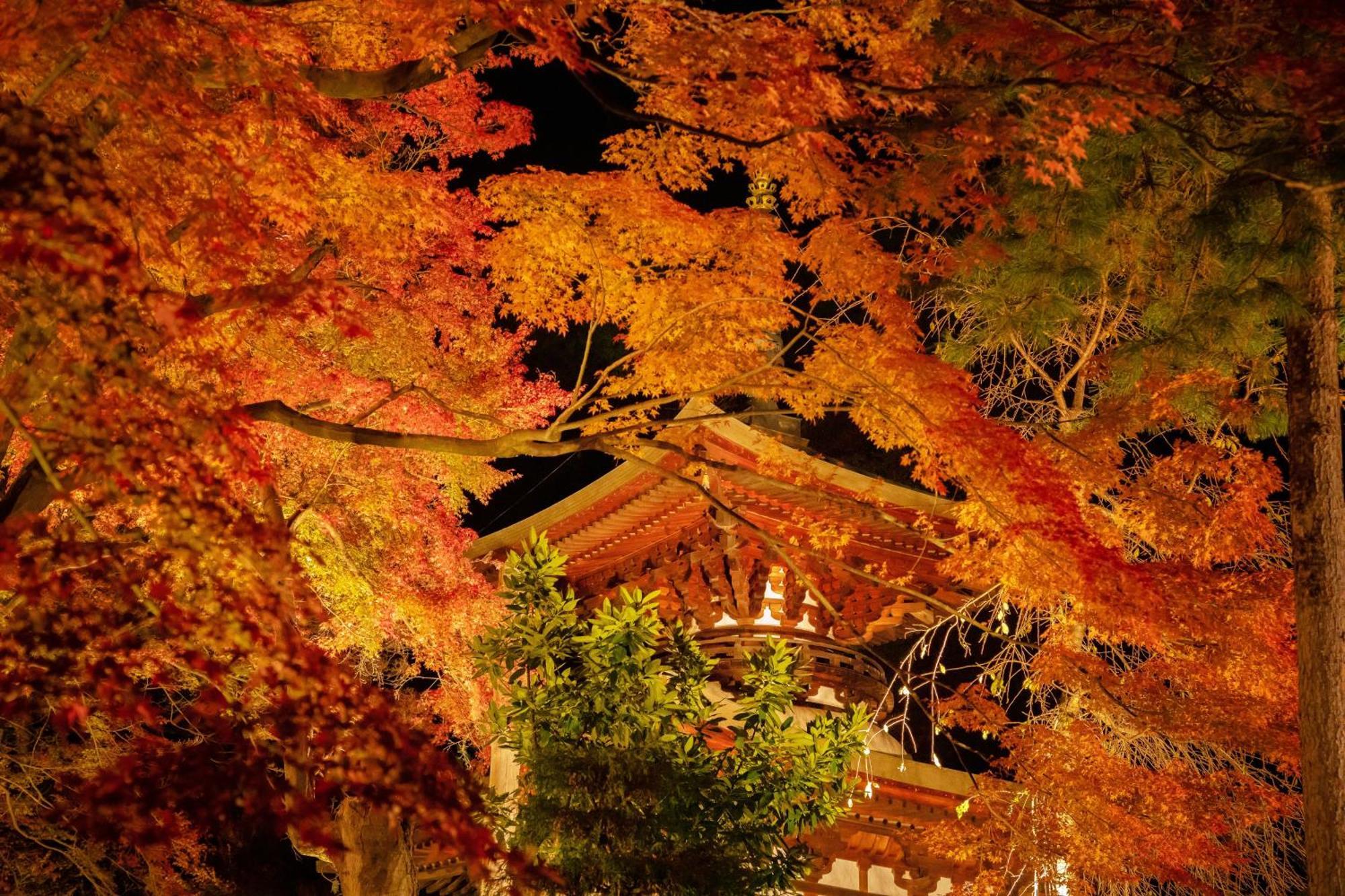 Kamisuwa Onsen Shinyu Hotel Exterior foto